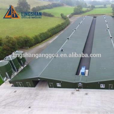 China Prefab Poultry Farm House Broiler Chicken Farm Cast Steel Poultry Farm Design for sale