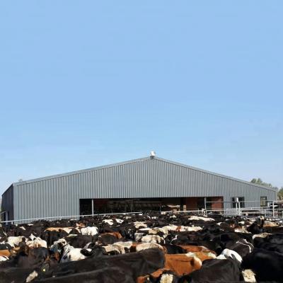 China Cheap Prefab Steel Workshop Steel Frame Dairy Barn Livestock House Farm Cast Structures Building for sale