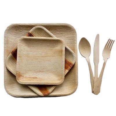 China High Quality Minimalist Organic Biodegradable Natural Disposable Place Wedding Hotel Birthday Party Hotel Tableware Set Palm Leaf Wood for sale