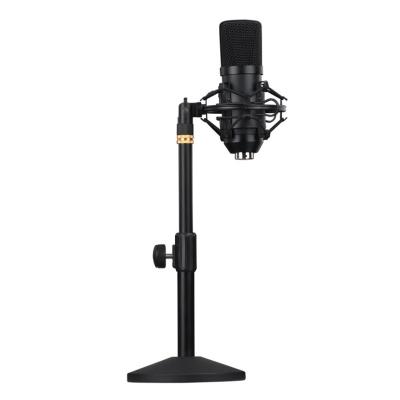 China Professional Conference Microphone Professional Microphone Standing USB Studio Recording Echo Foldable Condenser Microphone for sale