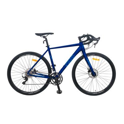 China Hot Sales Aluminum Multicolor Fixed Road Bike Professional Lightweight Road Bike for sale