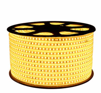 China Wholesale 220V Tiras De Luz Led 3528 LANDSCAPE flexible waterproof strip pixel 3038 5050 3014 5730 2835 IP65 led strip lights for sale