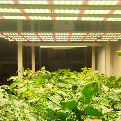 China Seed Starting High Quality Dimmable 400W 600W 800W 1000W Watt Full Spectrum Led Grow Light Bar With Samsung Lm301h Lm301b for sale