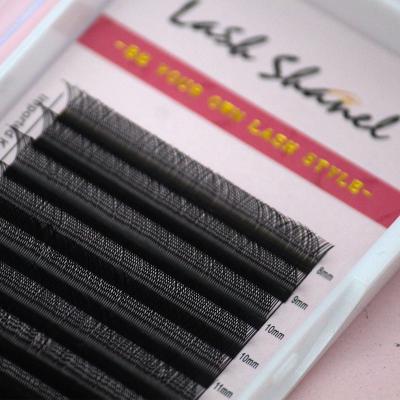 China Soft/Softer Natural/Light Weight/Durable/Curl/Stable Fluffy/Volume Fans Shanel Soft 0.05 0.07 C D L Curl Vv Yy 3d 4d 5d 6d 8d W Lash Extensions Cashmere Shape Eyelash Extension Yy Y W whips up supplies for sale