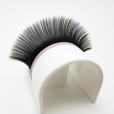 China Soft/Softer Natural/Light Weight/Durable/Curl/Fluffy Steady/Fans Volume 0.03 0.05 Korean Custom Pbt Private Label Faux Mink Individual Lash Supplies Lash Tray Volume Classic Cashmere Eyelash Extensions for sale