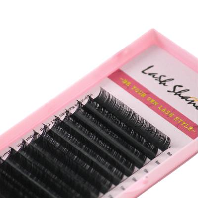 China Soft/Natural Softer/Light Weight/Durable/Curl/Stable Fluffy/Fans Volume 0.03 0.05 0.07 0.10 DD L Lash Trays Wholesale Cashmere Lash Eyelash Extensions C CC D Extensions classic buckle 8-22MM different for sale