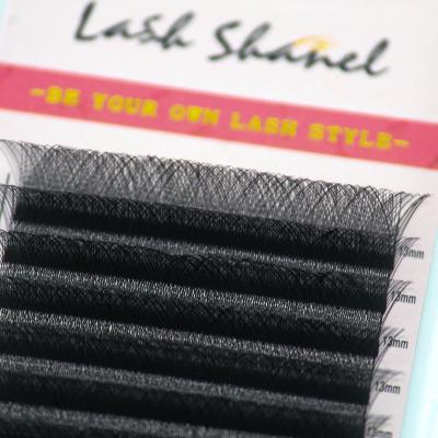 China Soft/softer natural/light weight/durable/stable curl/individual eyelash 3d 4d 5d 6d W fluffy/volume eyelash W 3D volume cashmere fans V Yy extension shape whips J since C D cc L Mink Eyelashes Extensions for sale