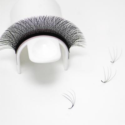 China Soft/Natural Softer/Light Weight/Durable/Stable Curl/Natural Good Quality Graft Extension 8-15mm W Soft Thick Fluffy/Volume Eyelash Volume Design W3d 4d 5d Long Yy Fans Shape Mink Clover Lash in silk for sale