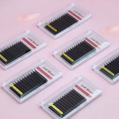 China Soft/softer natural/light weight/durable/curl/stable fluffy/fans volume Custom Logo Package 0.05 0.07 Licks D L Shape Volume False Eyelashes False Eyelashes Yy Silk Eyelash v of YY W different loop for sale