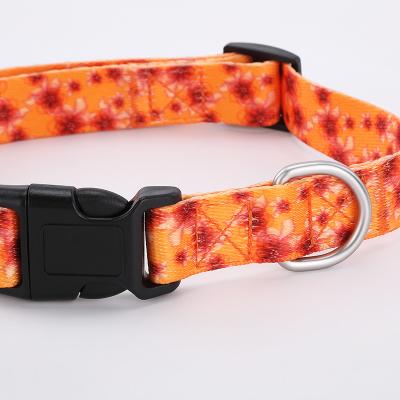 China Custom Luxury Personalized Tactical Martingale Training Collar Cute Dog Collar Pattern for sale