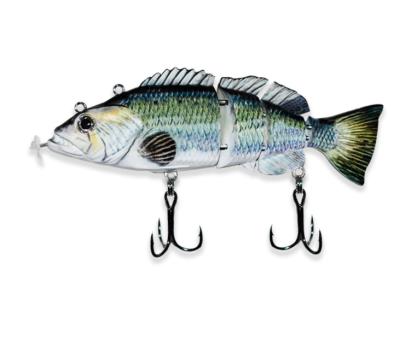 China FANDING Band Saltwater Soft Plastic Bass Minnow Jigging Fishing Lures Weedless for sale