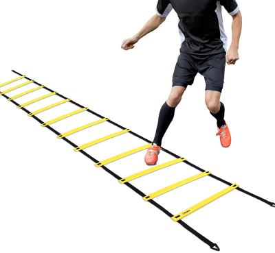 China High Quality Adjustable Soccer Traning FANDING Zhejiang Supplier Speed ​​Agility Exercise Ladder And Cones Speed ​​Training for sale