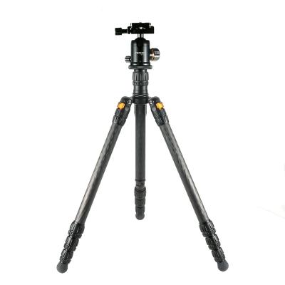 China PORTABLE Heavy Duty Carbon Fiber Professional Photo Camera Tripod Hunting Shooting Tripod for sale