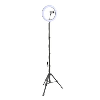 China 10 Inch Best PORTABLE Wholesale Ring Led Panel 3 Color Temperature Tripod And Selfie Stick With Fill Light for sale