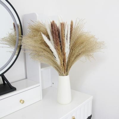 China Home Decor Amazon best-selling product dried nature small pampas and rabbit tail grass with vase for home gift for sale