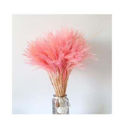 China Artificial flower home decoration artificial flora and dry flora drying flowers in microwave dry flower for sale