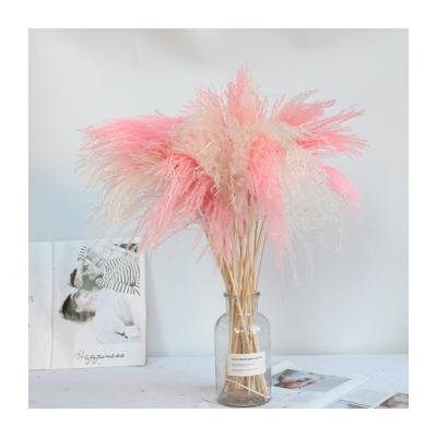 China Home Decoration Wholesale Customizable Reed Dried Herbs and Flowers Wedding Pink Dried Flowers for sale