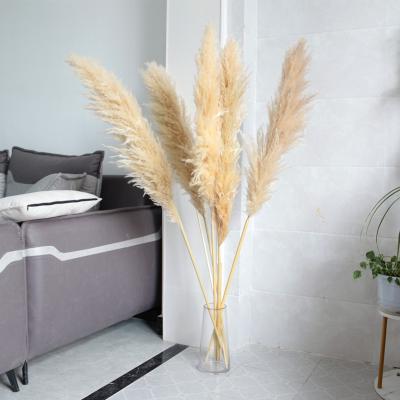 China Pampas grass artificial pampas grass large wedding/home decoration small 60pcs in vase for sale