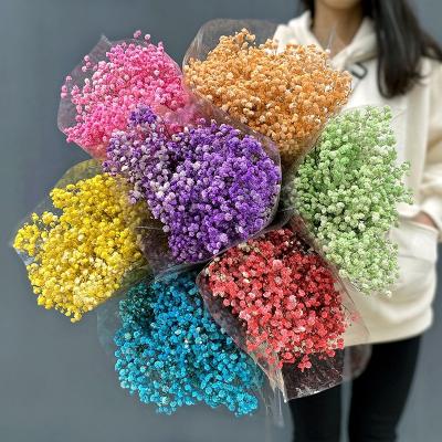 China Wholesale Natural Baby's Breath Gifts Valentine's Day 2021 Eternal Preserved Flowers for sale