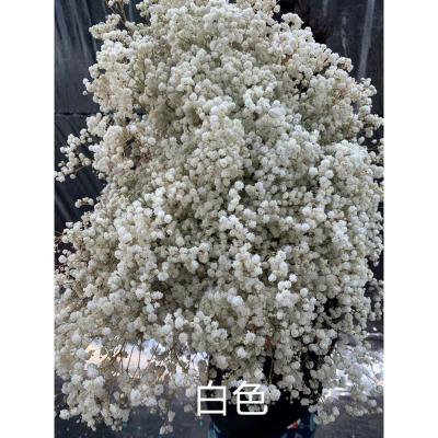 China Natural Preserved Touch Flower Box Leaf Orchid Flower for sale