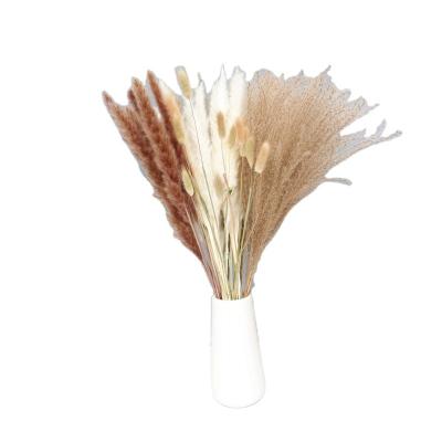 China Amazon Hot Selling Home Gift Hotel Decoration Gift Hotel Small Pampas Grass White Dry Phragmites Phragmites for sale