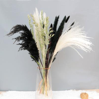 China Decoration Wholesale Amazon Hot Sale Phragmites Flower Group Dried Flowers For Room Office Wedding Home Decoration for sale