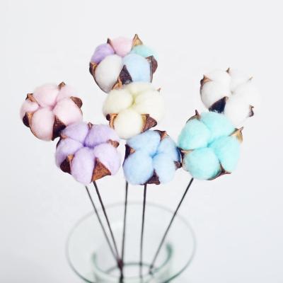 China Plant Supply Colorful Natural Dry Cotton Flowers Stems Gifts For Home Decoration for sale