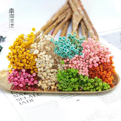 China Photographic Props Home Furniture Brazil Imported Mini Daisy Amazon Success Happy Flower Dried Flowers Flower Pots Layout Handmade Floral Home Decor for sale