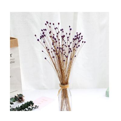 China Photographic Props Home Furnishings Wholesales Decorative Dried Flowers Wedding Bouquet Brazilian Happy Flower for sale