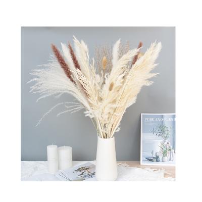 China Home Decor For Sale Home Decor Pampas Grass Flower Large Dry Fluffy Combination for sale