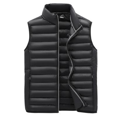 China 2020 autumn and winter men's fashion sustainable stand collar thicken down cotton warm padded vest for sale