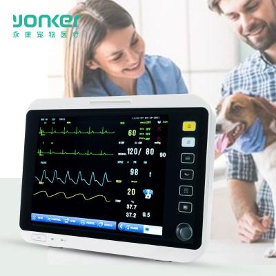 China 12.1inch ECG NIBP Blood Pressure Vet Monitor Veterinary Instruments IBP Multiparameter Vet Dual Channel Monitor for Pet 305*162*290mm for sale