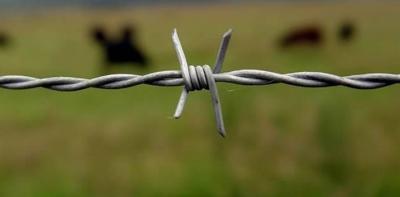 China Reverse Double Twist Barbed Wire 12 Gauge Two Strands Galvanized Barbed Fence for sale