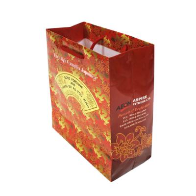 China Recyclable Tropical Bag Wholesale Custom Size Printing Paper Bag for sale