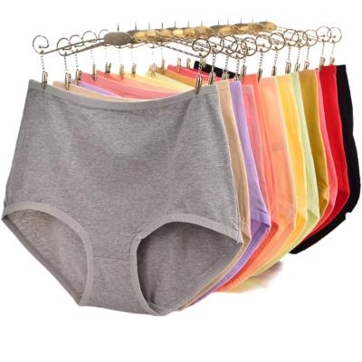 China Antibacterial Breathable Solid Women's Sports Underwear Men's OE Cotton Brief Underwear for sale