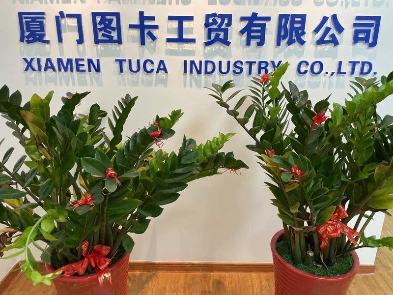 Verified China supplier - Xiamen Tuca Industry Co., Ltd.