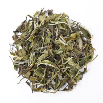 China Good Quality Fujian Bai Mu Dan White Peony Organic Loose Tea Fuding Tea Leaves White Tea In Cheap Price for sale