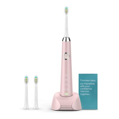 China ABS New Adult H3 Series Rechargeable Oral Care Whitening Sonic Electric Toothbrush for sale