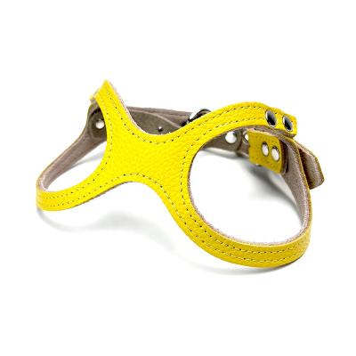 China Personalized Buddy Genuine Leather Belt Dog Harness Yellow for Small Dog for sale