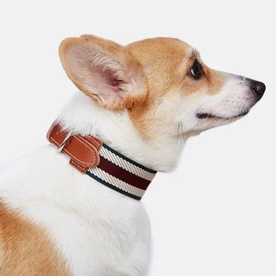 China Thoughtful Customize Waterproof Pet Cat Collar Custom LOGO Luxury Nylon Webbing Dog And Leather Pet Collars for sale