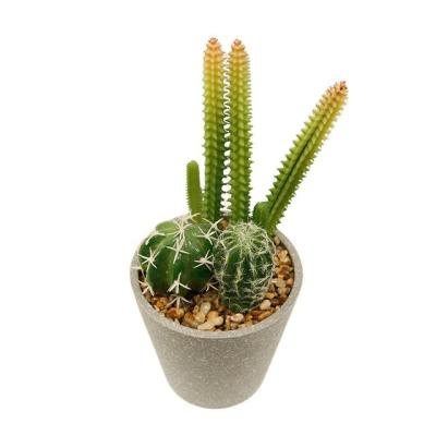 China PE Artificial Succulent Plants In Pot Modern Concrete Modern Home Decor Faux Potted Greenery for sale