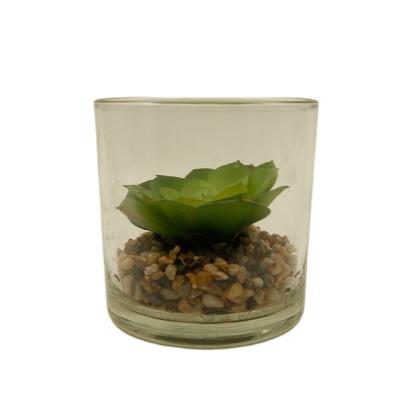 China PE Artificial Succulent Plants In Glass Cup Modern Home Decor Faux Succulent Greenery for sale