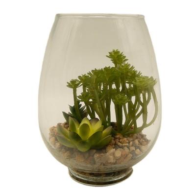 China PE Artificial Succulent Plants In Glass Cup Modern Home Decor Faux Succulent Greenery for sale