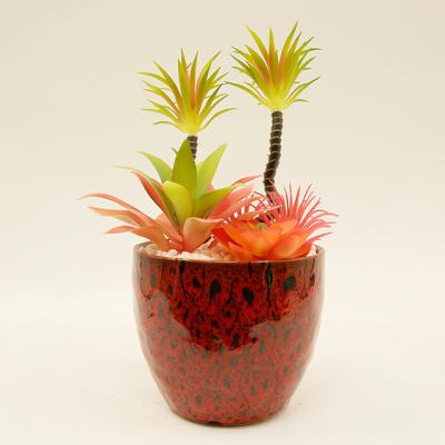 China PE Artificial Succulent Plants In Potted Modern Ceramic Home Decor Faux Pot Greenery for sale