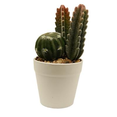 China PE Artificial Succulent Plants In PVC Pot Metal Frame Modern Home Decor Faux Potted Greenery for sale