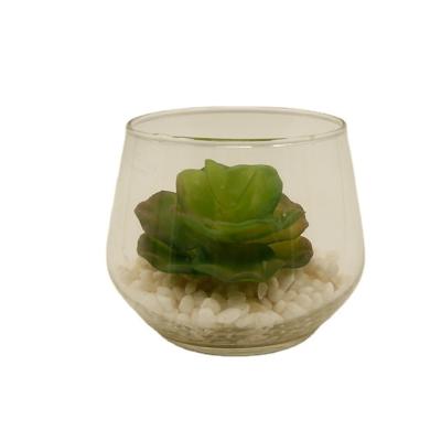 China PE Artificial Succulent Plants In Glass Cup Modern Home Decor Faux Succulent Greenery for sale