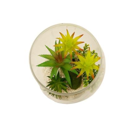 China Minimalist Well Sell New Type Sellers Decorative Artificial Plants Wholesale Volume for sale