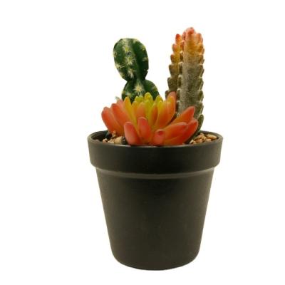 China Minimalist Desktop Ornaments Mini Cactus Succulents Flowers Artificial Succulent Plants Potted for sale