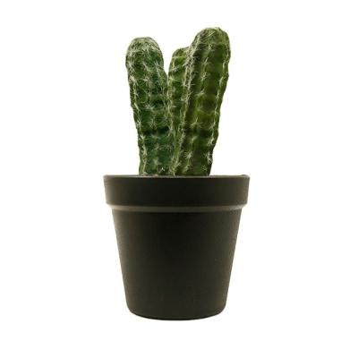 China Artificial Potted Plants Live Succulents Cacti Flowers Minimalist Universal Ornaments for sale