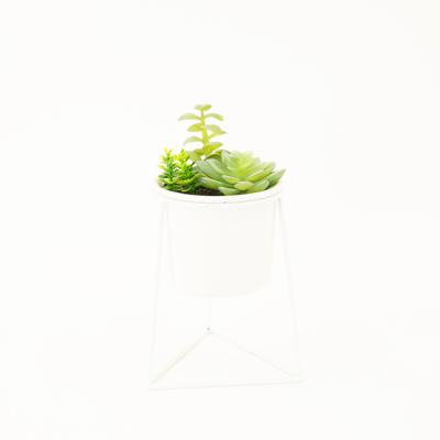 China Minimalist Artificial Succulent Plants In Concrete Modern Home Decor Faux Metal Frame Potted Greenery for sale